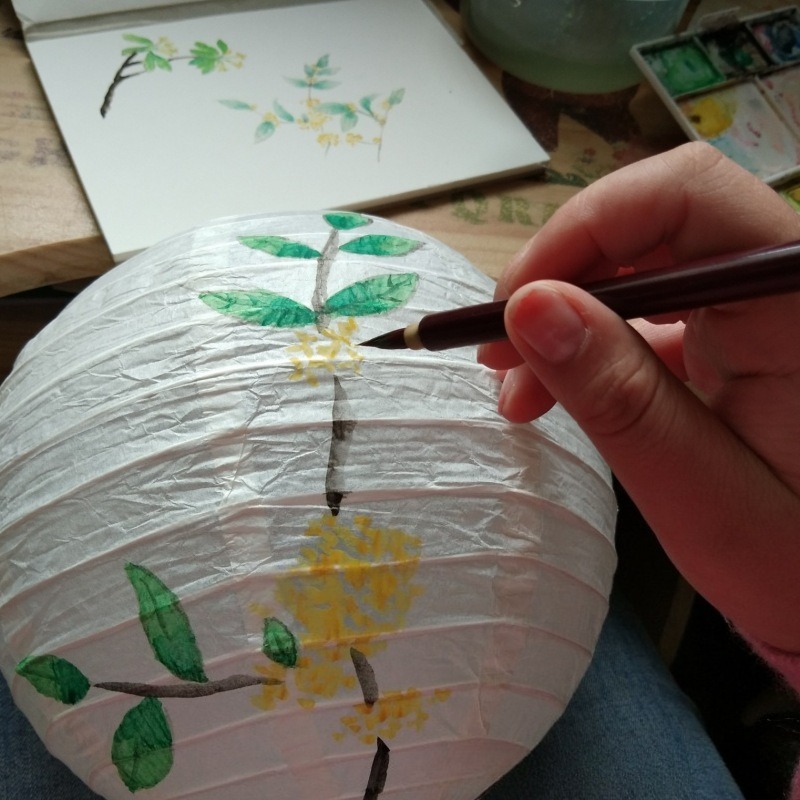 White Chinese Paper Lantern Ch - Event Party Shop review and price